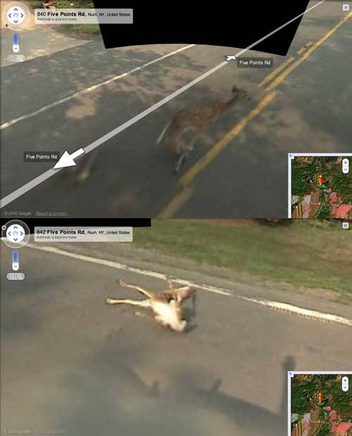 Funny Google Earth