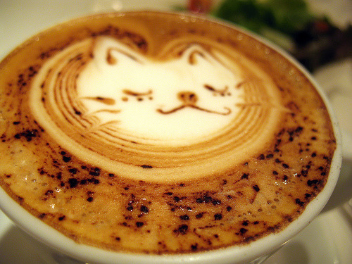 classics:      toratorazero:      ikrm:      andi-b:    shig1975: Cafe Latte (via BUN BUKU)吉祥寺のカフェらしい              2008-10-27
